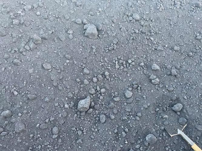 委内瑞拉进口石油焦（生）